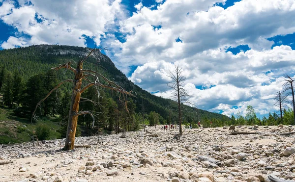 Vacanze Colorado Valli Pittoresche Vette Delle Montagne Rocciose — Foto Stock