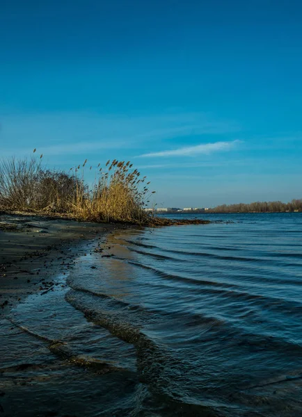 Рання Весна Березі Річки Танення Льоду Сухої Тростини — стокове фото