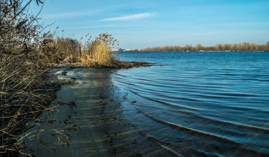 Erken Bahar nehir kıyısında. Eriyen buz ve kuru reed