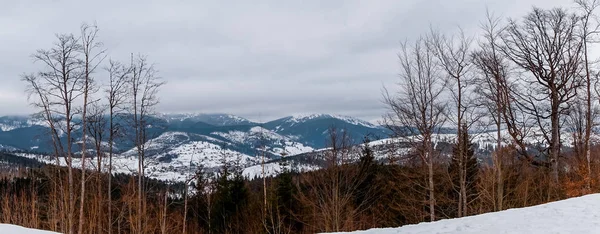 东欧喀尔巴阡山脉冬季多云景观 — 图库照片