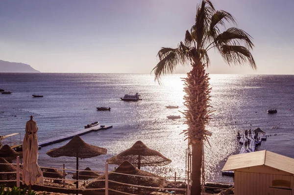 Sharm Sheikh Sinai Egito Dezembro 2018 Bela Praia Ensolarada Guarda — Fotografia de Stock