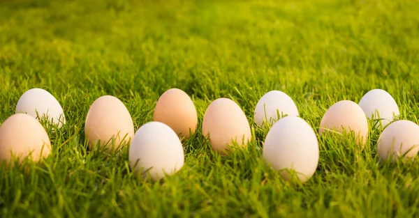 Spring Green Garden Easter Eggs — Stock Photo, Image