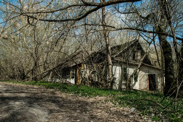 Velha Casa Campo Abandonada Zona Exclusão Consequências Catástrofe Nuclear Chernobil — Fotografia de Stock