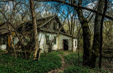 Dışlama bölgesinde terk edilmiş eski kır evi. Çernobil nükleer felaketinin sonuçları
