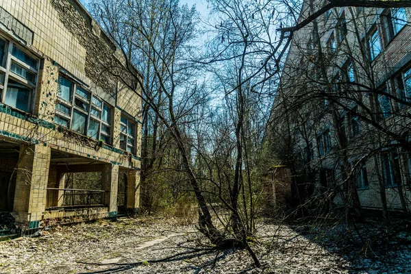 Pripyat, Ukrayna kentinde eski terk edilmiş hastane. Çernobil nükleer santralinde nükleer patlamanın sonuçları
