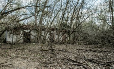 Dışlama bölgesinde terk edilmiş eski kır evi. Çernobil nükleer felaketinin sonuçları