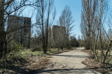 Pripyat 'ın terk edilmiş hayalet kasabasının sokağı. Çernobil nükleer felaketinin yasak bölgesindeki ağaçlar ve yıkılan evler.