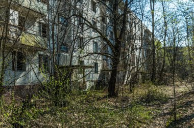 Pripyat 'ın terk edilmiş hayalet kasabasının sokağı. Çernobil nükleer felaketinin yasak bölgesindeki ağaçlar ve yıkılan evler.