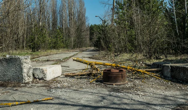 ถนนของเม องผ Pripyat นไม บโตมากเก นไปและบ านพ งทลายในเขตข อยกเว นของภ — ภาพถ่ายสต็อก