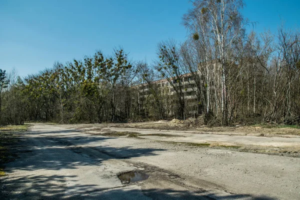 Rua Cidade Fantasma Abandonada Pripyat Árvores Sobrecultivadas Casas Colapso Zona — Fotografia de Stock