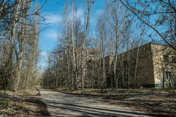 Straße Der Verlassenen Geisterstadt Pripjat Überwucherte Bäume Und Einstürzende Häuser — Stockfoto