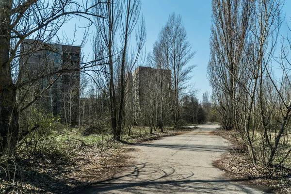 ถนนของเม องผ Pripyat นไม บโตมากเก นไปและบ านพ งทลายในเขตข อยกเว นของภ — ภาพถ่ายสต็อก