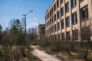 Pripyat 'ın terk edilmiş hayalet kasabasının sokağı. Çernobil nükleer felaketinin yasak bölgesindeki ağaçlar ve yıkılan evler.