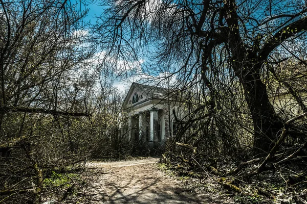 Elhagyatott Szellemváros Pripyat Utcája Túlburjánzott Fák Összenőtt Házak Csernobili Nukleáris — Stock Fotó