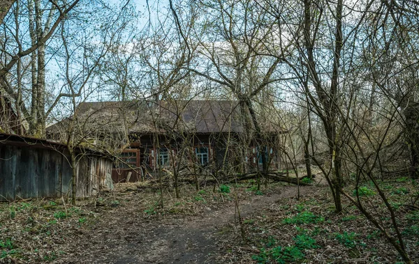 Régi Elhagyatott Vidéki Ház Kizárási Zónában Csernobili Nukleáris Katasztrófa Következményei — Stock Fotó