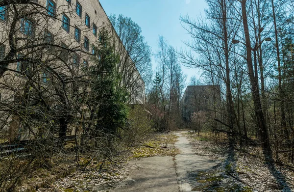 Ulice Opuštěného Města Duchů Pripyat Přerostlé Stromy Hroutící Domy Odloučené — Stock fotografie