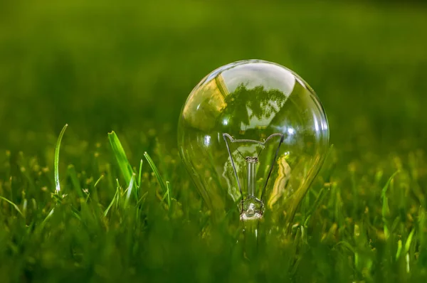 Light Bulb Gree Grass Nature Energy Saving — Stock Photo, Image