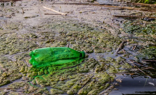 Viejas Botellas Plástico Usadas Río Mississippi — Foto de Stock