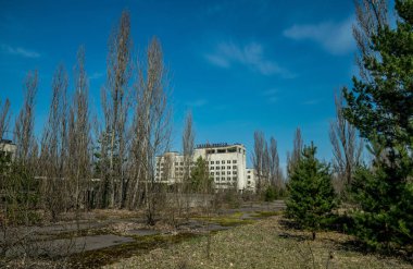 Pripyat 'ın terk edilmiş hayalet kasabasının sokağı. Çernobil nükleer felaketinin yasak bölgesindeki ağaçlar ve yıkılan evler.