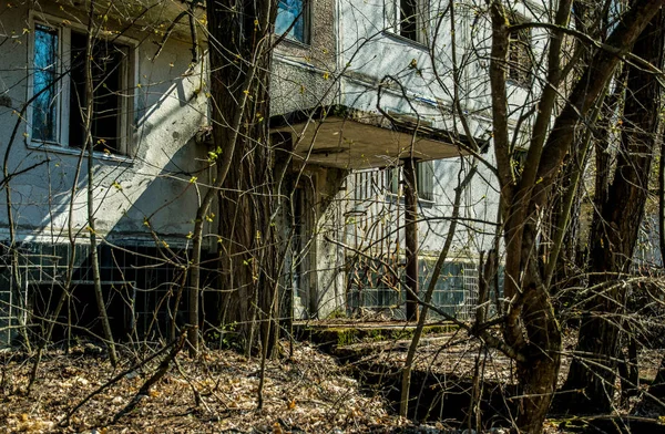 Straße Der Verlassenen Geisterstadt Pripjat Überwucherte Bäume Und Einstürzende Häuser — Stockfoto