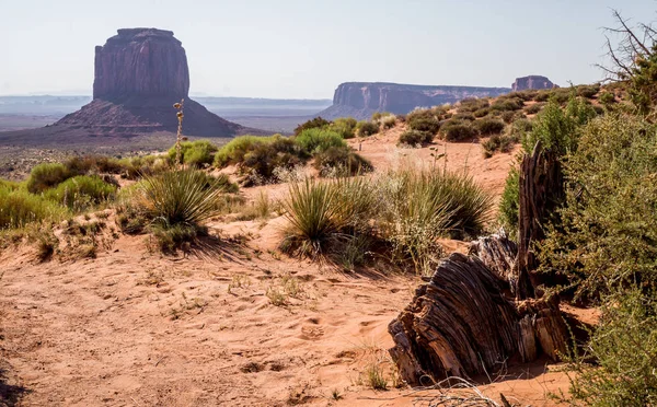 Dobré Ráno Údolí Pomníku Turistické Stany Uprostřed Rozpadajících Skal Arizona — Stock fotografie