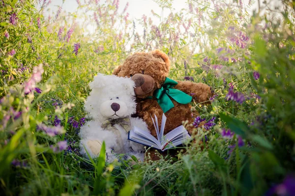 Couple of cute teddy bears in love on a sunny summer meadow