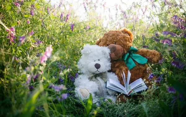 晴れた夏の牧草地で愛のかわいいテディベアのカップル — ストック写真