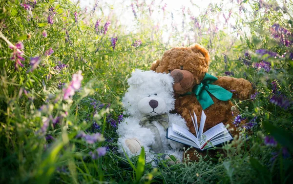 Par Lindos Osos Peluche Enamorados Soleado Prado Verano — Foto de Stock