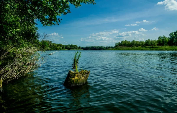 Marshland Nature Louisiana Natural Parks — Stock Photo, Image