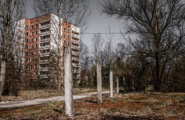 Pripyat 'ın terk edilmiş hayalet kasabasının sokağı. Çernobil nükleer felaketinin yasak bölgesindeki ağaçlar ve yıkılan evler.
