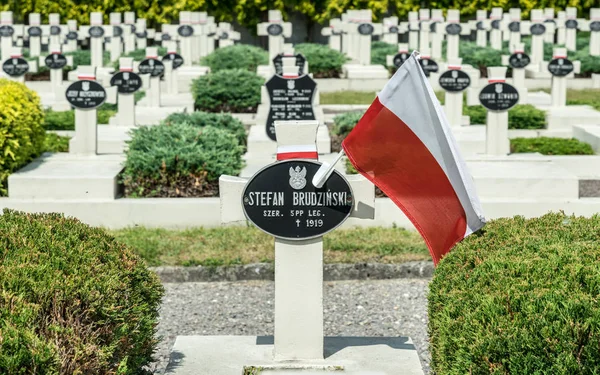 Cruzes Pedra Velho Cemitério Militar Cemitério Lychakiv Lviv — Fotografia de Stock