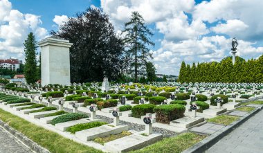 Lviv Lychakiv Mezarlığı 'nda eski askeri mezarlık taş haç