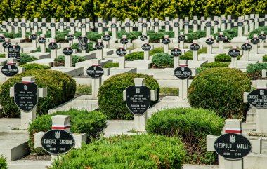 Lviv Lychakiv Mezarlığı 'nda eski askeri mezarlık taş haç