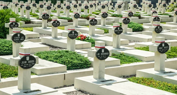 Lviv Lychakiv Mezarlığı 'nda eski askeri mezarlık taş haç