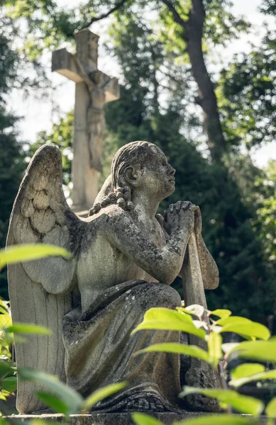 Mermer Heykel Eski Bir Terk Gotik Mezarlık — Stok fotoğraf