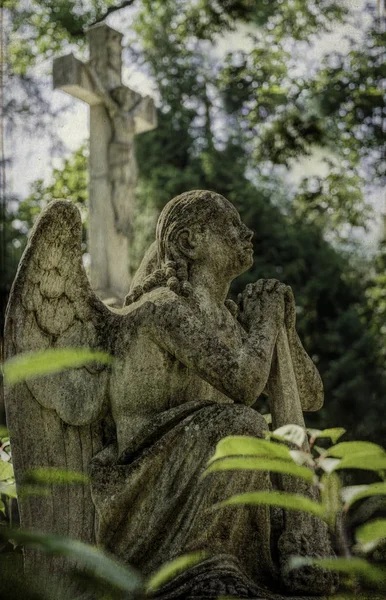 Mermer Heykel Eski Bir Terk Gotik Mezarlık — Stok fotoğraf