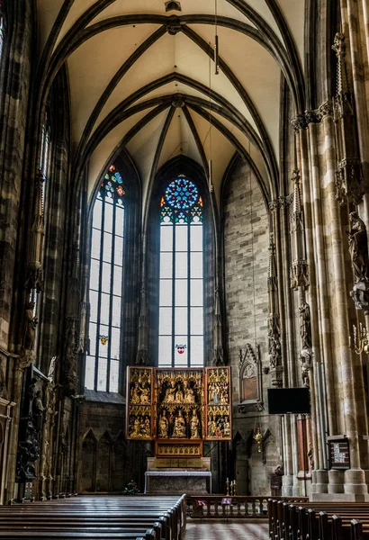 Cattedrale Gotica Santo Stefano Vienna Austria — Foto Stock