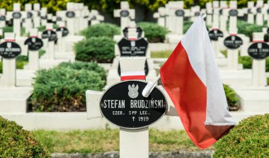 Lviv Lychakiv Mezarlığı 'nda eski askeri mezarlık taş haç
