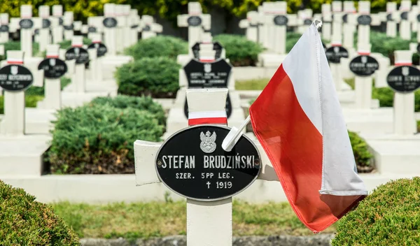 Cruzes Pedra Velho Cemitério Militar Cemitério Lychakiv Lviv — Fotografia de Stock