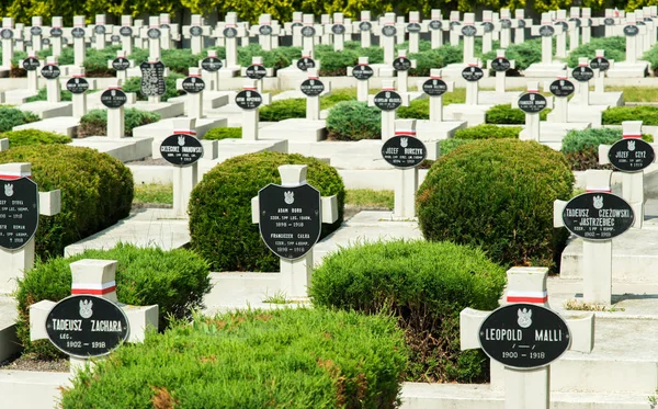 Cruzes Pedra Velho Cemitério Militar Cemitério Lychakiv Lviv — Fotografia de Stock