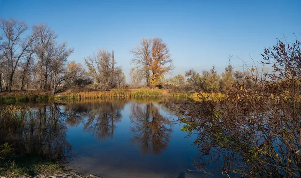 Güzel sonbahar manzara. Gölün suya yansıyan ağaçlar