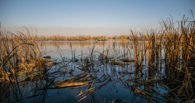 Güzel sonbahar manzara. Gölün suya yansıyan ağaçlar