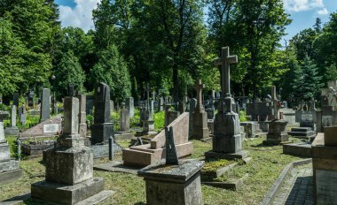 Lviv şehir, Ukrayna - Temmuz 12, 2019: Lviv Lychakiv mezarlığında Gotik mezarlar üzerinde antik taş heykeller, Ukrayna. Terk edilmiş, büyümüş eski bir mezarlık. 18. ve 19.