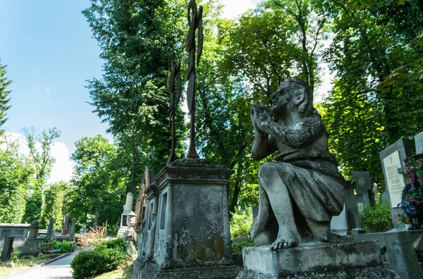 Cidade Lviv Ucrânia Julho 2019 Antigas Estátuas Pedra Túmulos Góticos — Fotografia de Stock