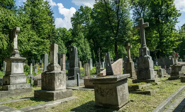 Cidade Lviv Ucrânia Julho 2019 Antigas Estátuas Pedra Túmulos Góticos — Fotografia de Stock