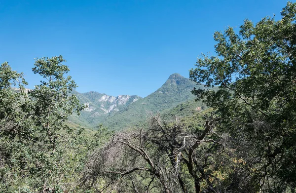 Kaliforniya Daki Pitoresk Sierra Nevada Dağları Abd Sequoia Milli Parkı — Stok fotoğraf