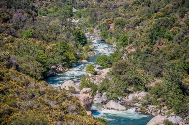 Sierra Nevada, Kaliforniya'da Rapids ile Dağ Nehri. Sekoya Ulusal Ormanı
