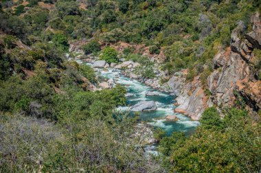 Sierra Nevada, Kaliforniya'da Rapids ile Dağ Nehri. Sekoya Ulusal Ormanı