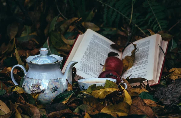 Xícara Chá Quente Livros Antigos Folhas Outono Caídas — Fotografia de Stock