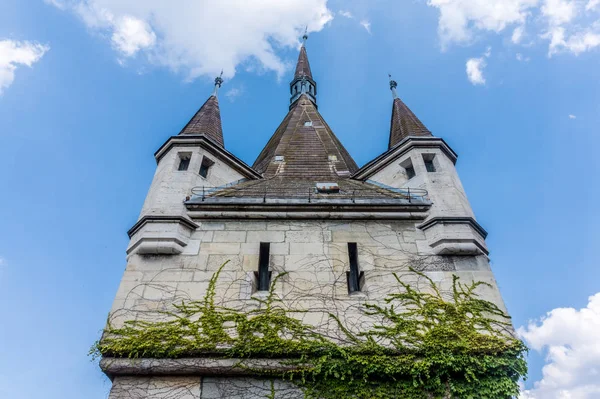 Castelo Decorativo Vajdahunyad Parque Histórico Varoshliget Budapeste Hungria Milênio Estado — Fotografia de Stock